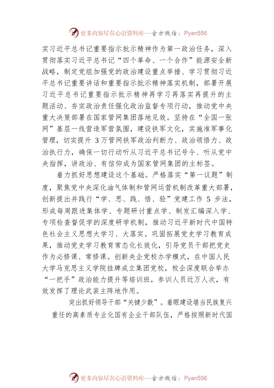 强化党建引领保障 铸牢红色能源动脉.docx_第2页