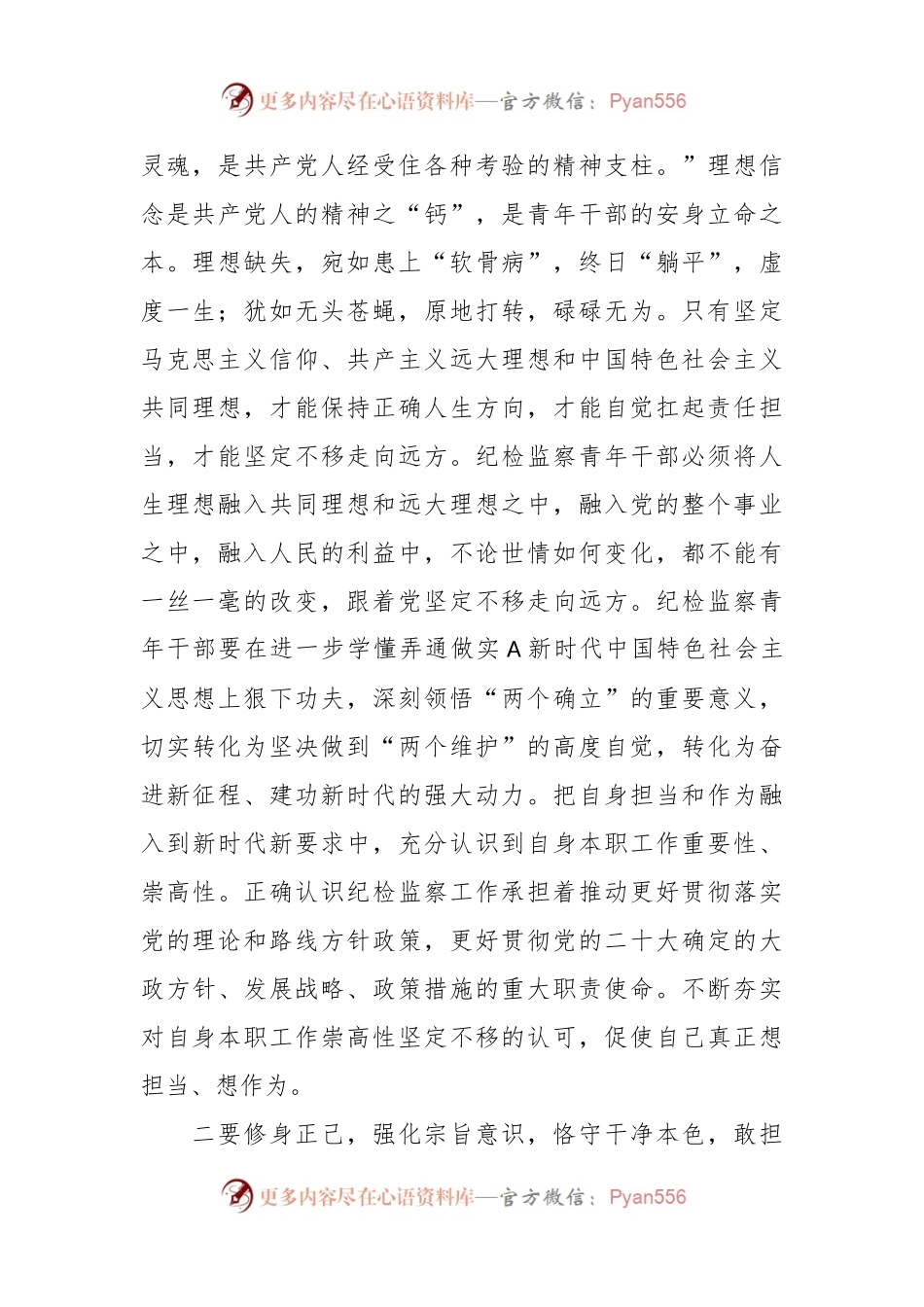 座谈发言：奋进新时代，做忠诚、干净、担当的青年纪检监察干部.docx_第2页