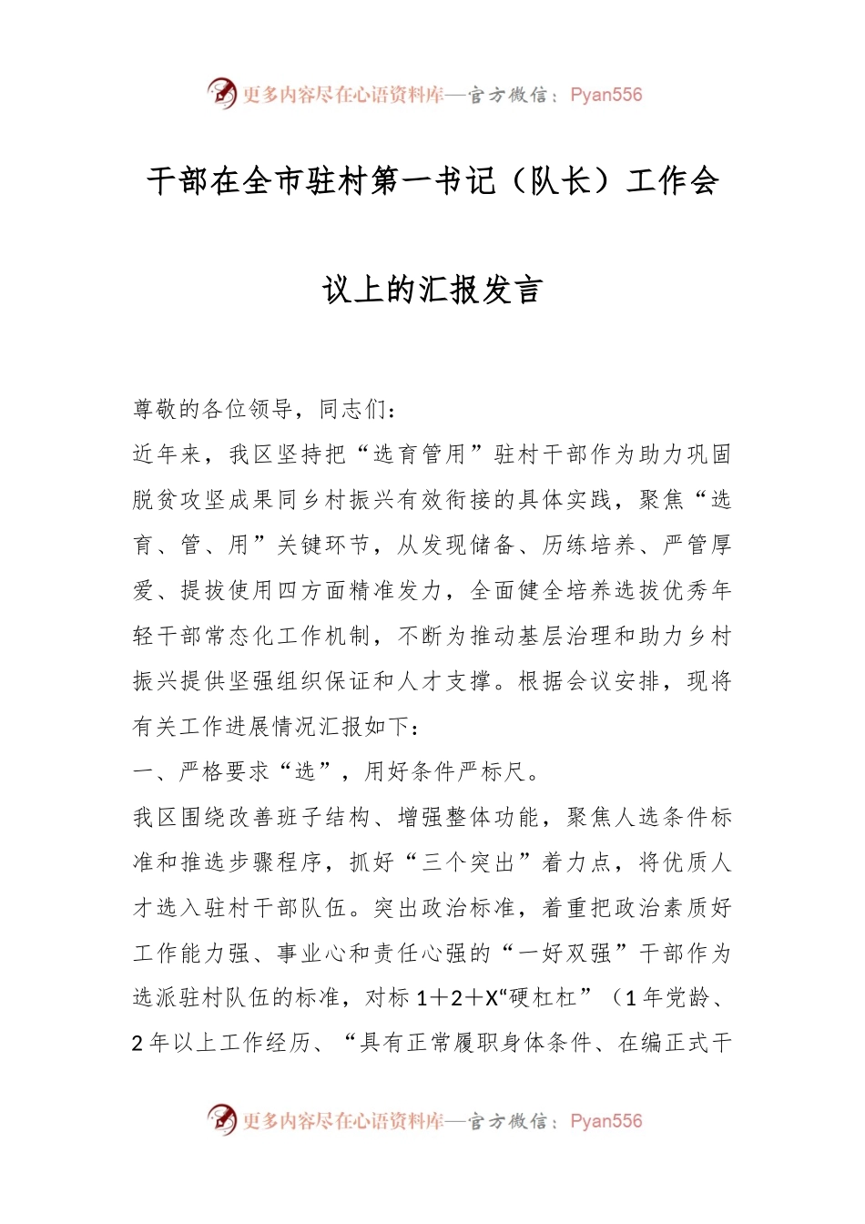 干部在全市驻村第一书记（队长）工作会议上的汇报发言.docx_第1页