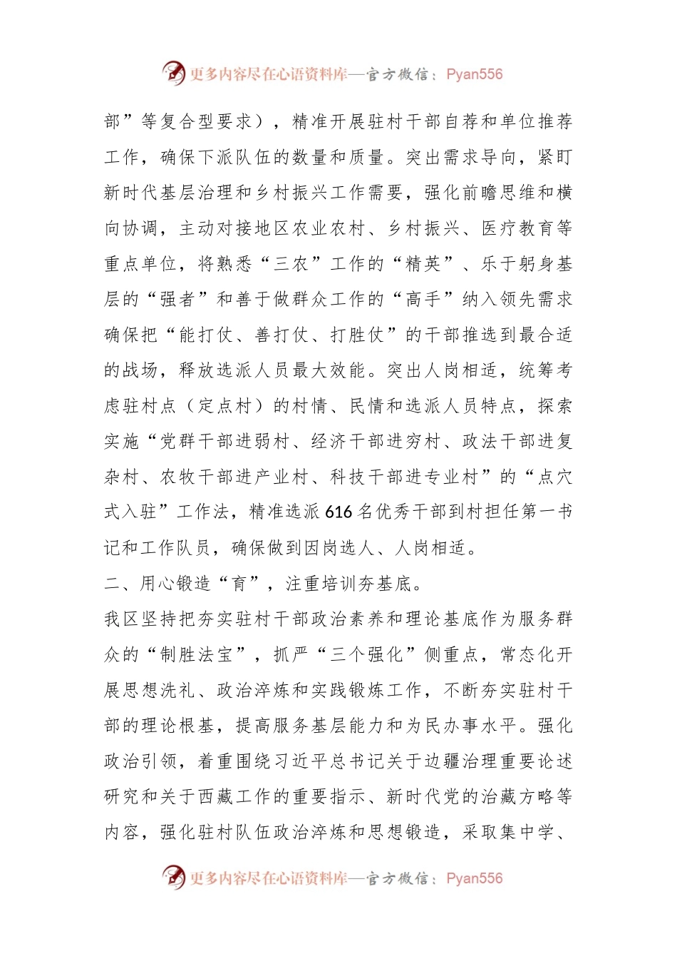 干部在全市驻村第一书记（队长）工作会议上的汇报发言.docx_第2页