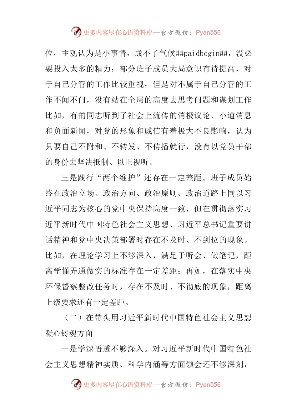 市政府领导班子民主生活会对照检查材料.docx_第2页