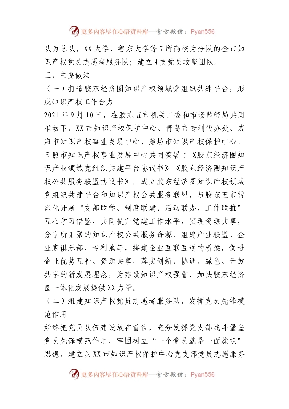 市知识产权保护中心党支部“党建引领知识产权发展新模式”支部工作法（党建品牌）.docx_第2页