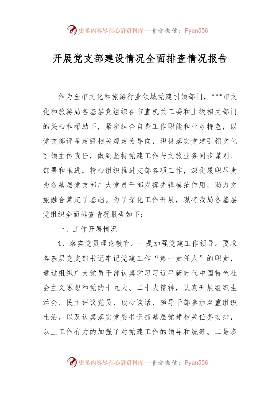 开展党支部建设情况全面排查情况报告.docx_第1页