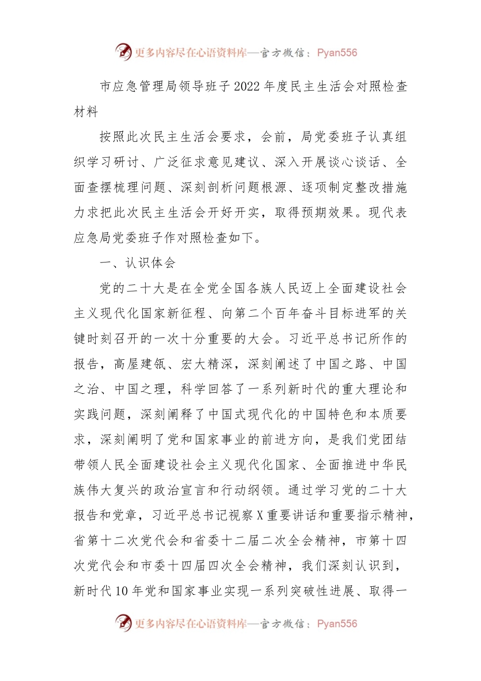 市应急管理局领导班子2022年度民主生活会对照检查材料.docx_第1页