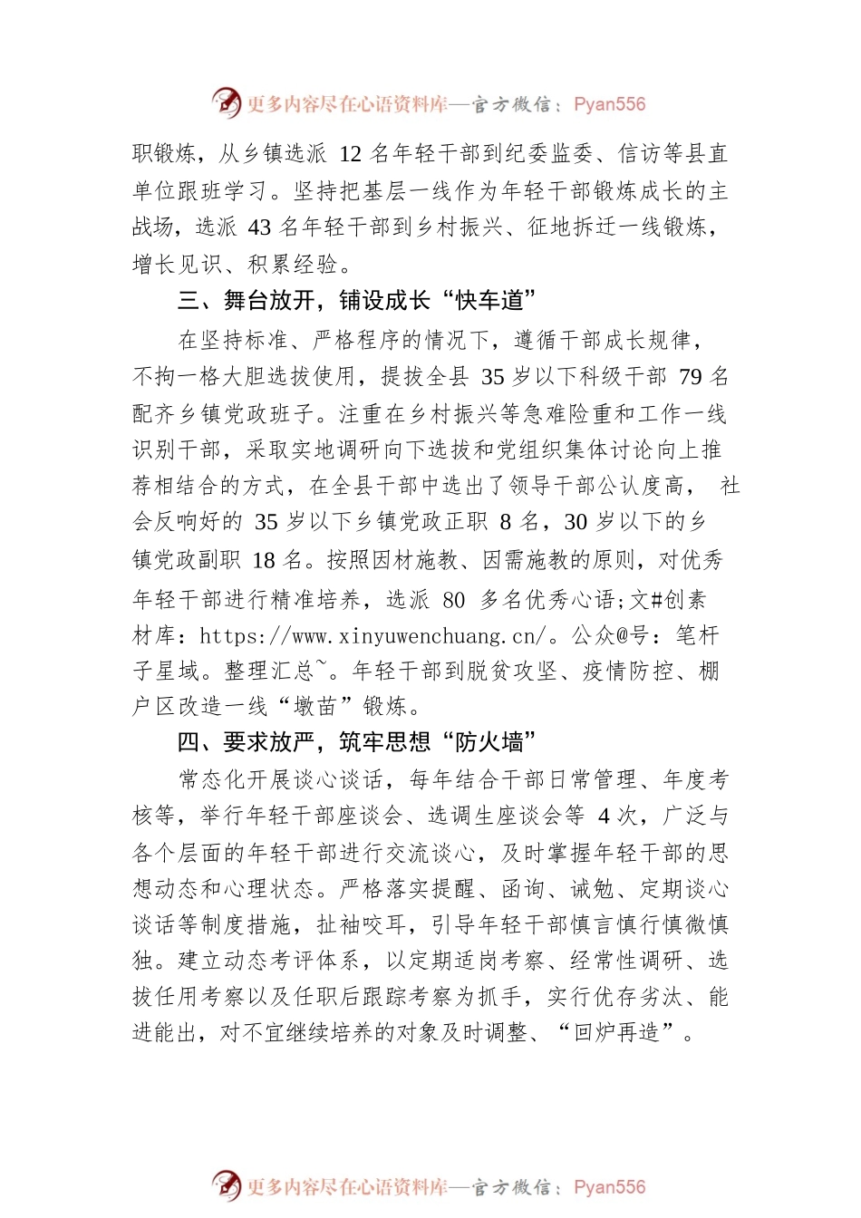 年轻干部培养选拔经验交流材料.docx_第2页