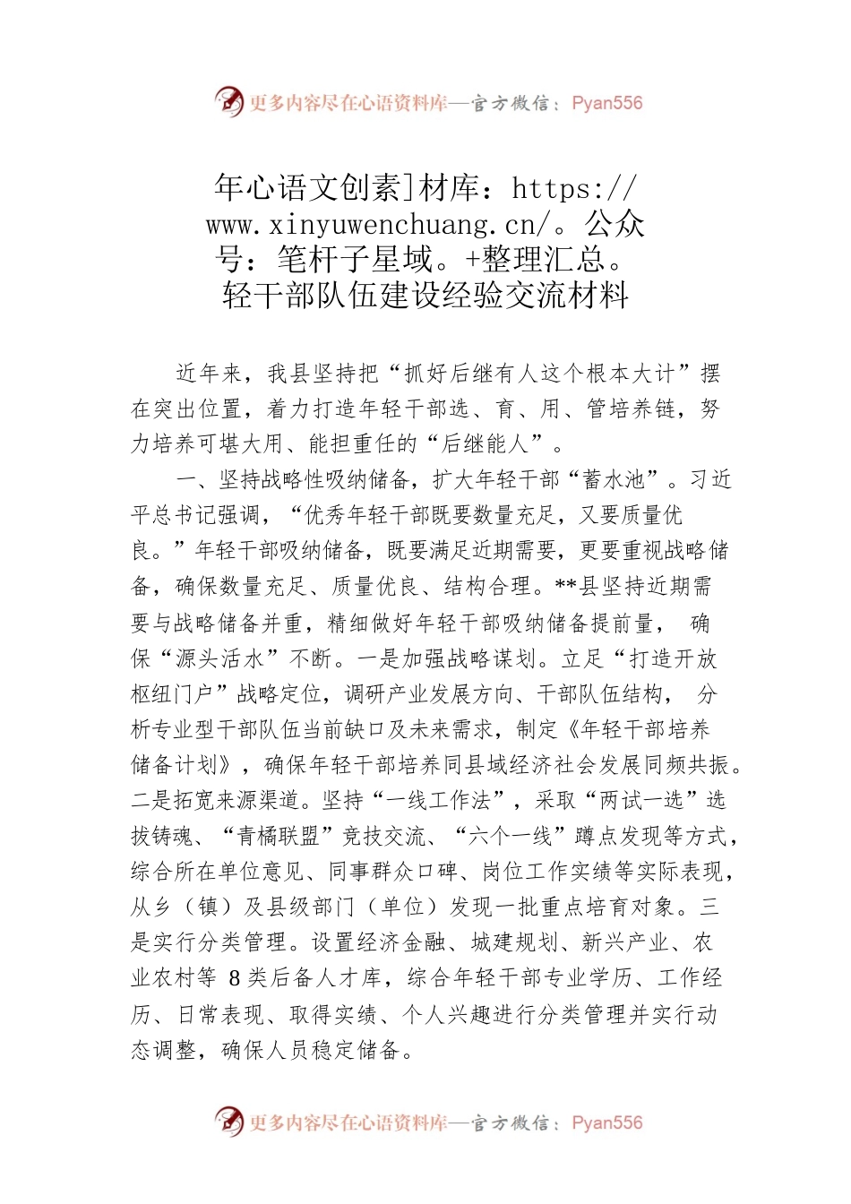 年轻干部队伍建设经验交流材料.docx_第1页
