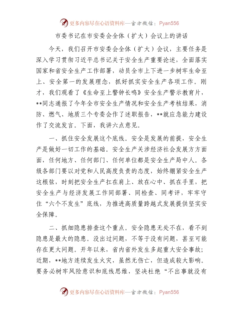 市委书记在市安委会全体（扩大）会议上的讲话.docx_第1页