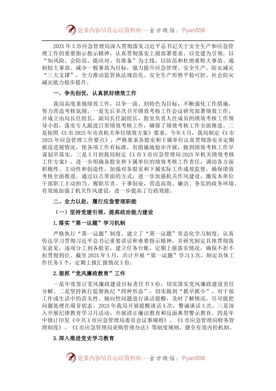 市应急管理局202X年工作总结.docx_第1页