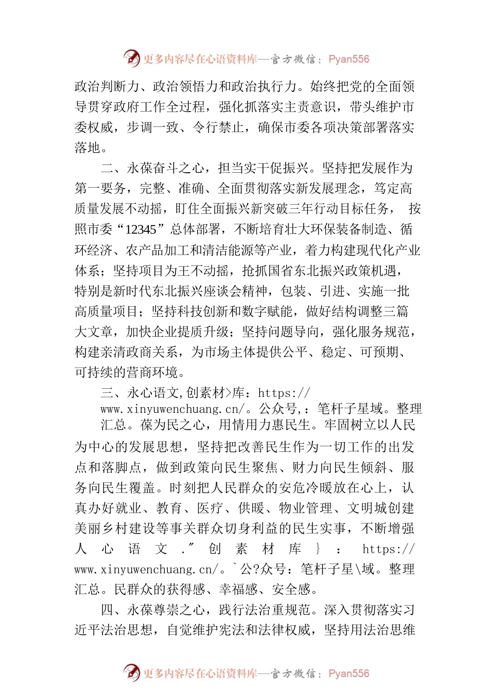 当选市长后的表态发言-2.docx_第2页