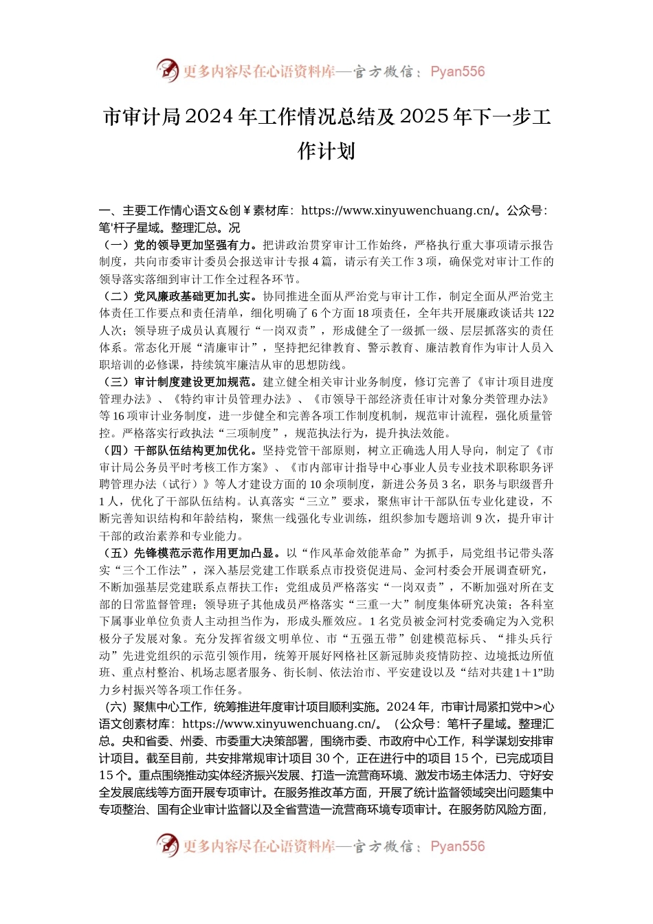市审计局2024年工作情况总结及2025年下一步工作计划.docx_第1页