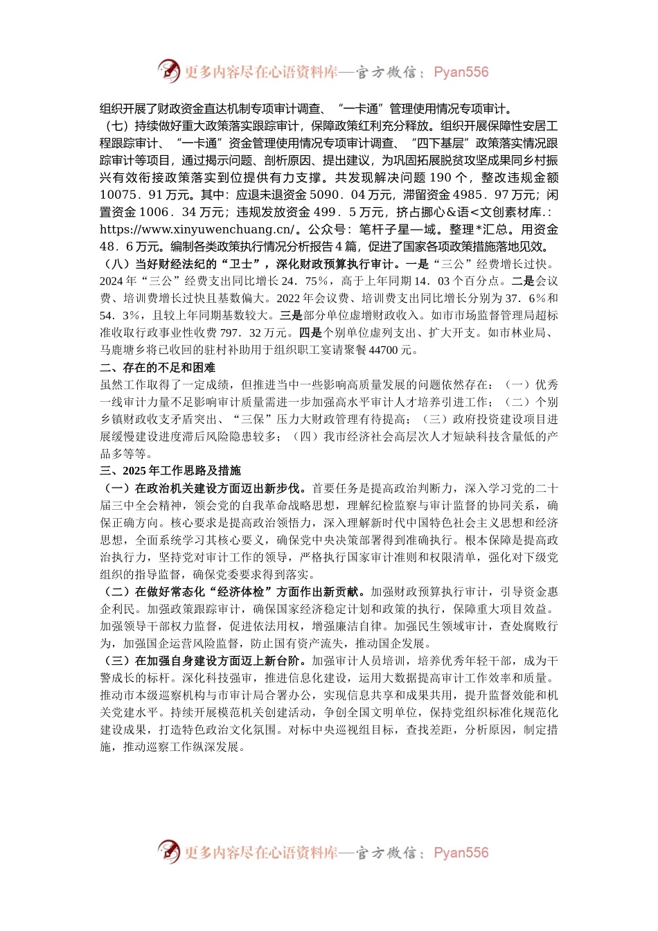市审计局2024年工作情况总结及2025年下一步工作计划.docx_第2页