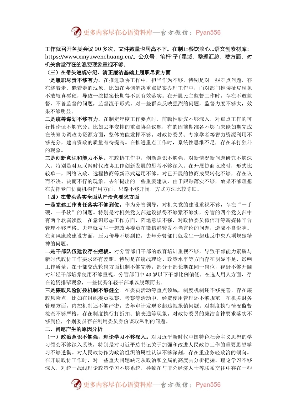 市政协副主席2024年民主生活会对照检查材料（四个带头）.docx_第2页