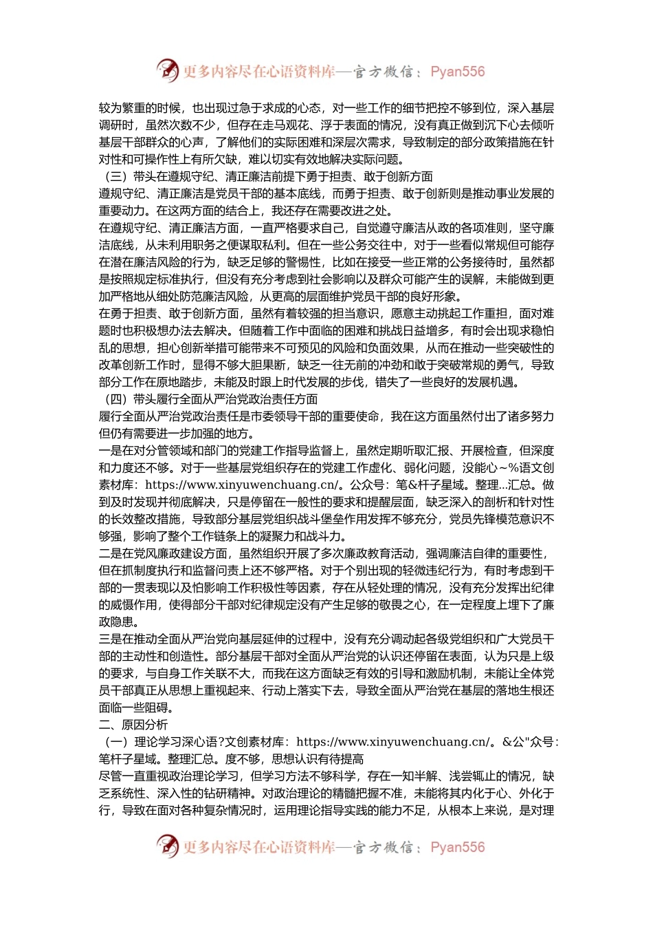 市委副书记 2024 年度民主生活会个人对照检查材料.docx_第2页