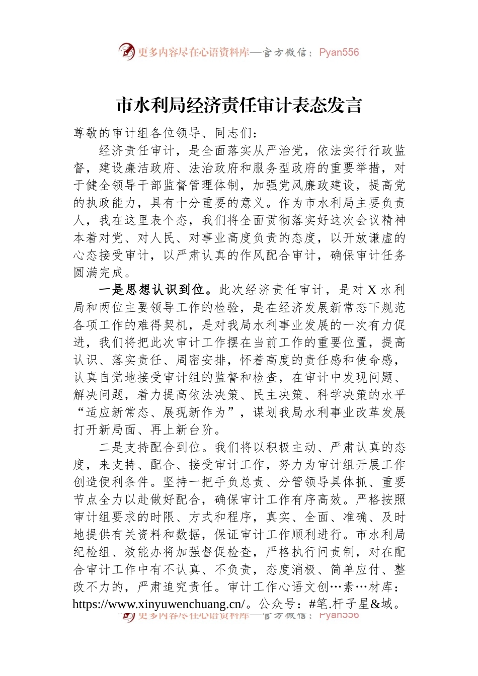 市水利局经济责任审计表态发言稿.docx_第1页