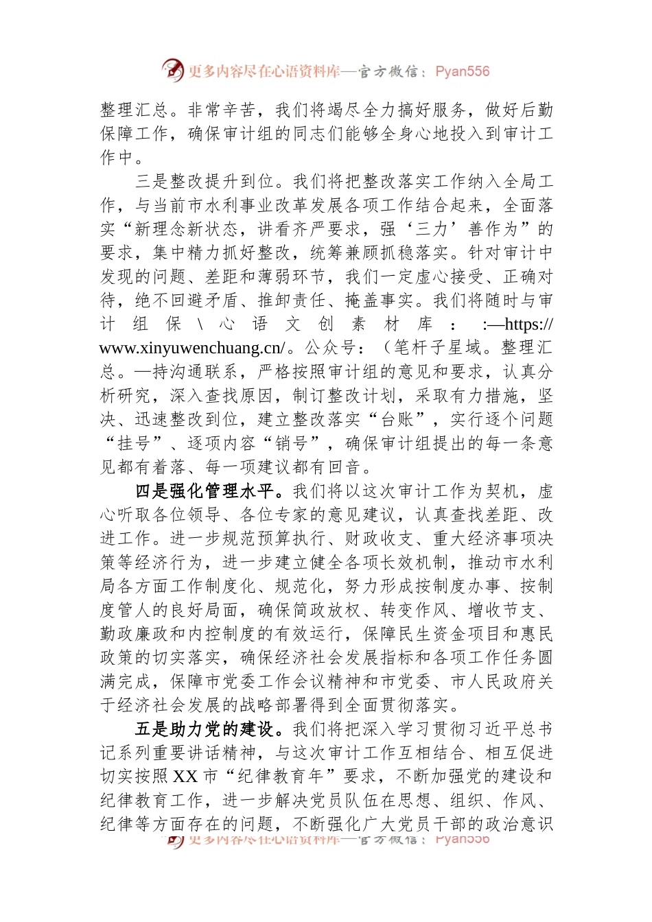 市水利局经济责任审计表态发言稿.docx_第2页