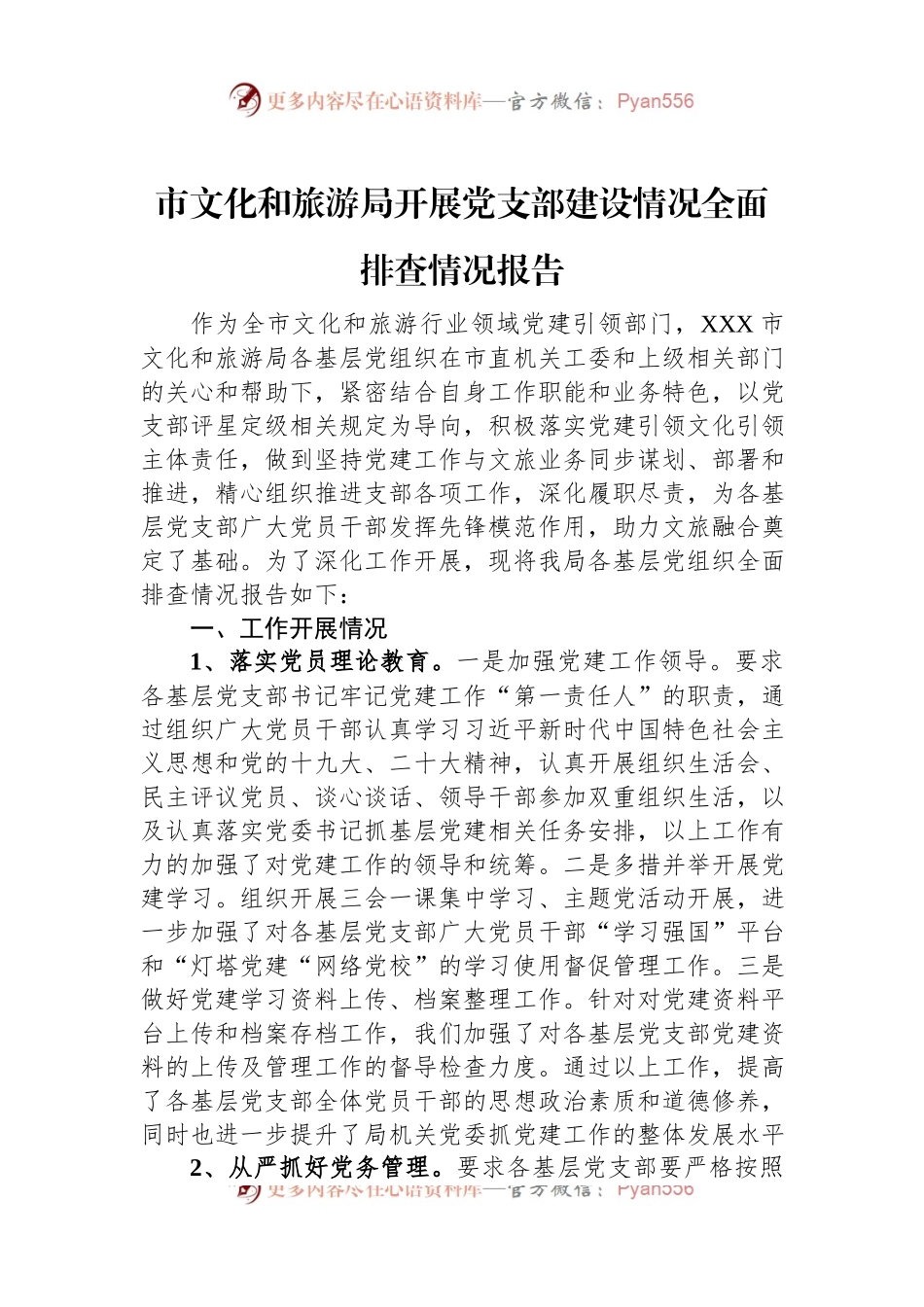 市文化和旅游局开展党支部建设情况全面排查情况报告.docx_第1页