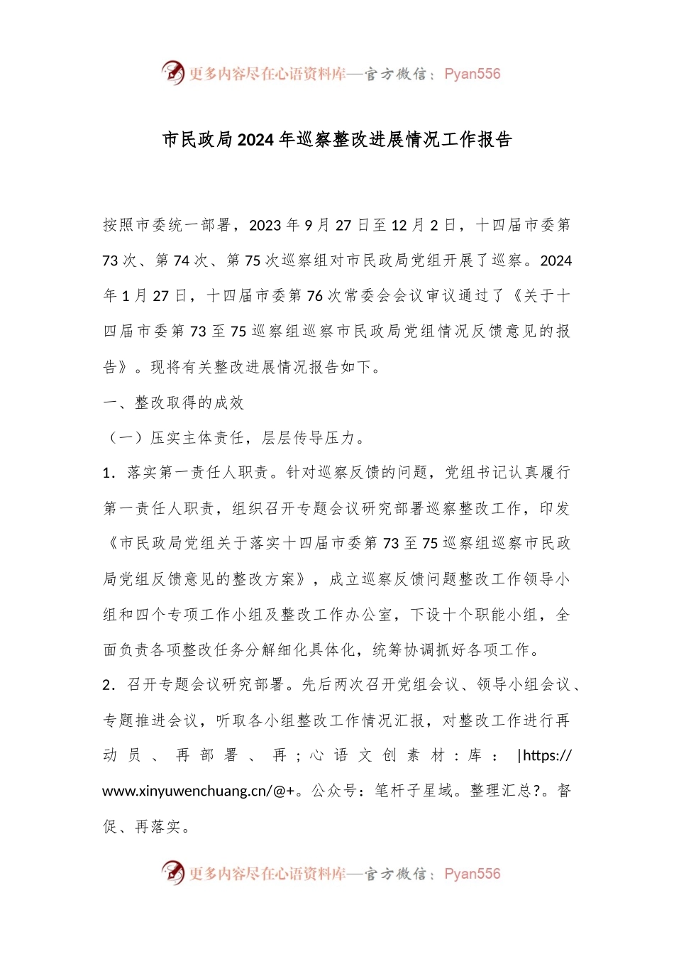 市民政局2024年巡察整改进展情况工作报告.docx_第1页