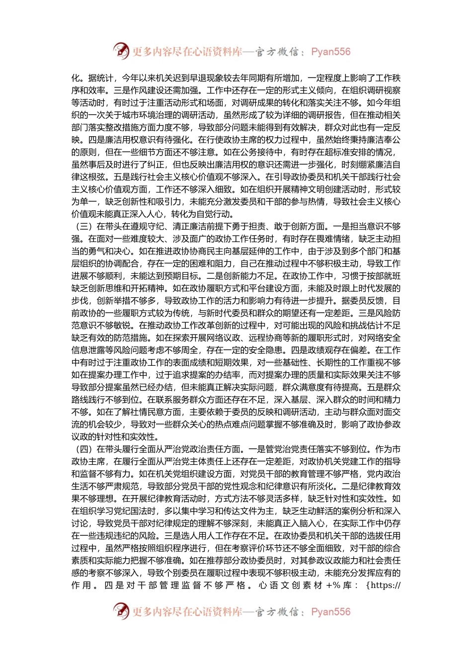市政协主席关于2024年度民主生活会个人对照检视发言材料.docx_第2页
