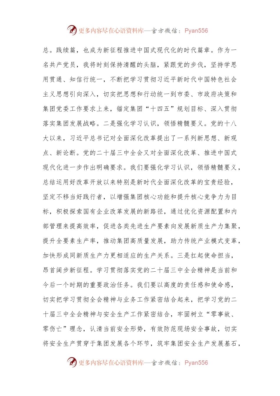 市直企业党的二十届三中全会精神专题学习交流研讨发言材料.docx_第2页