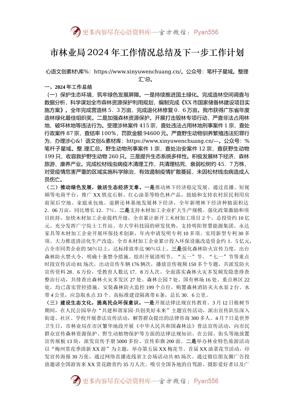 市林业局2024年工作情况总结及下一步工作计划.docx_第1页