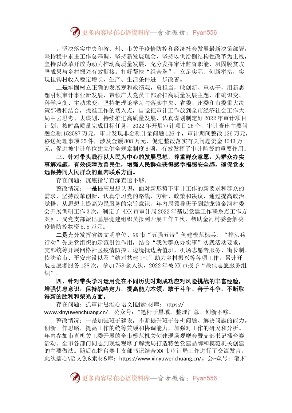 市审计局领导班子党史学习教育专题民主生活会整改情况报告.docx_第2页