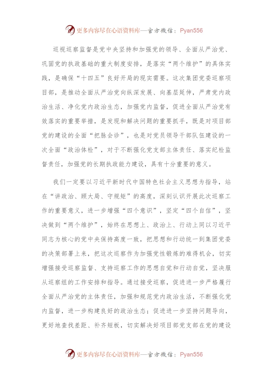 政治巡察工作动员会上的领导讲话.docx_第2页