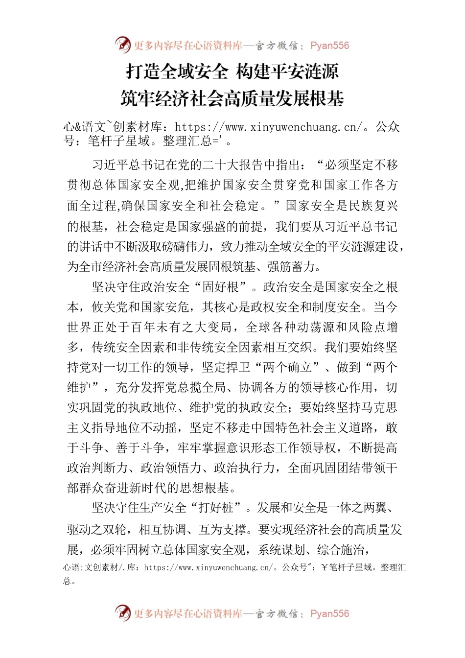 打造全域安全构建平安涟源筑牢经济社会高质量发展根基.docx_第1页