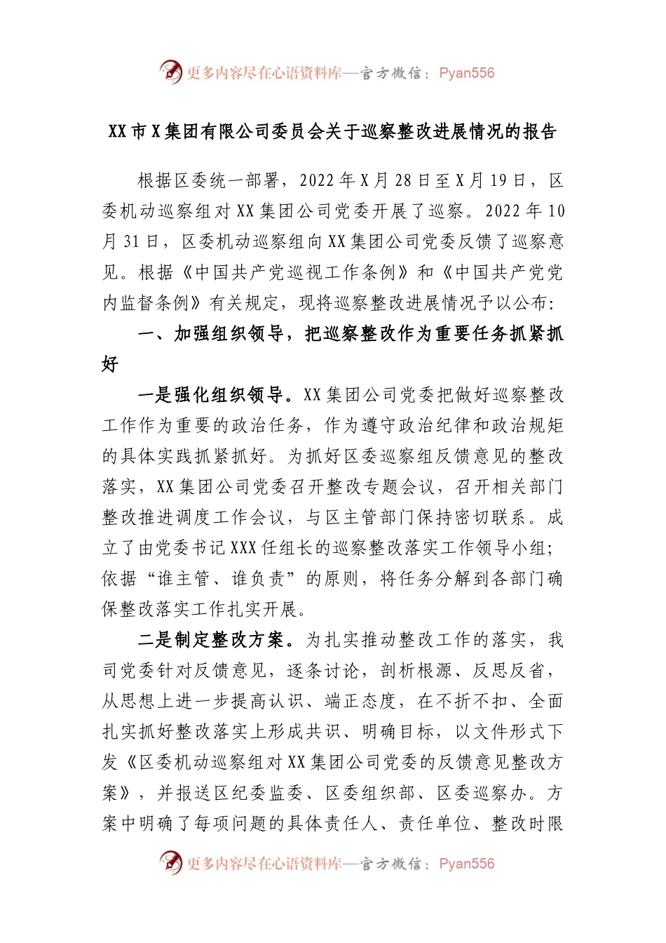 市集团有限公司委员会关于巡察整改进展情况的报告.docx_第1页