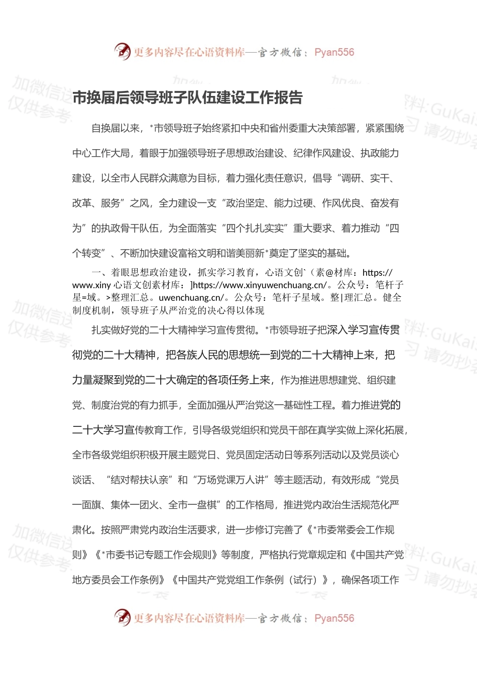 市换届后领导班子队伍建设工作报告.docx_第1页
