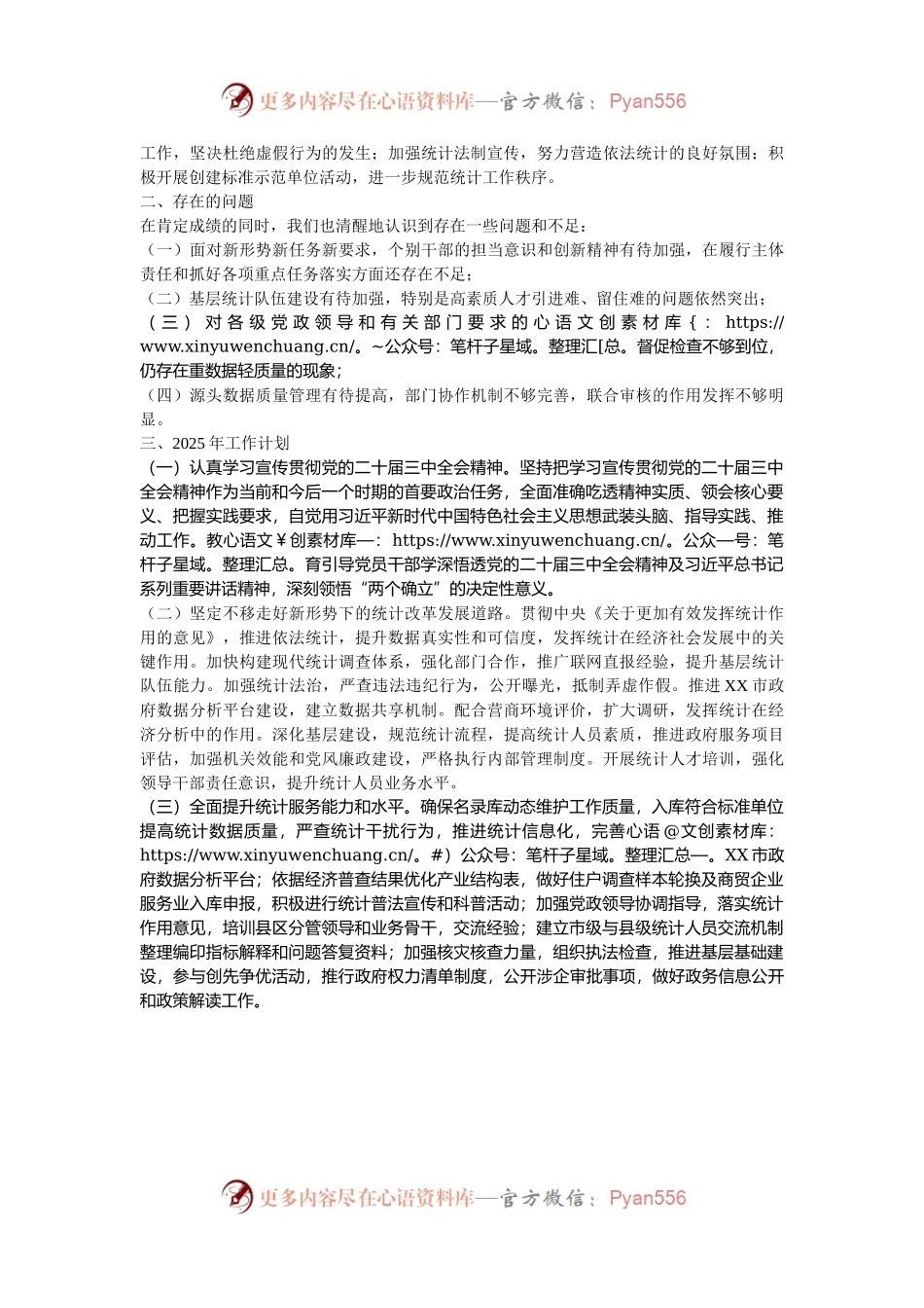 市统计局2024年工作总结及2025年工作计划.docx_第2页