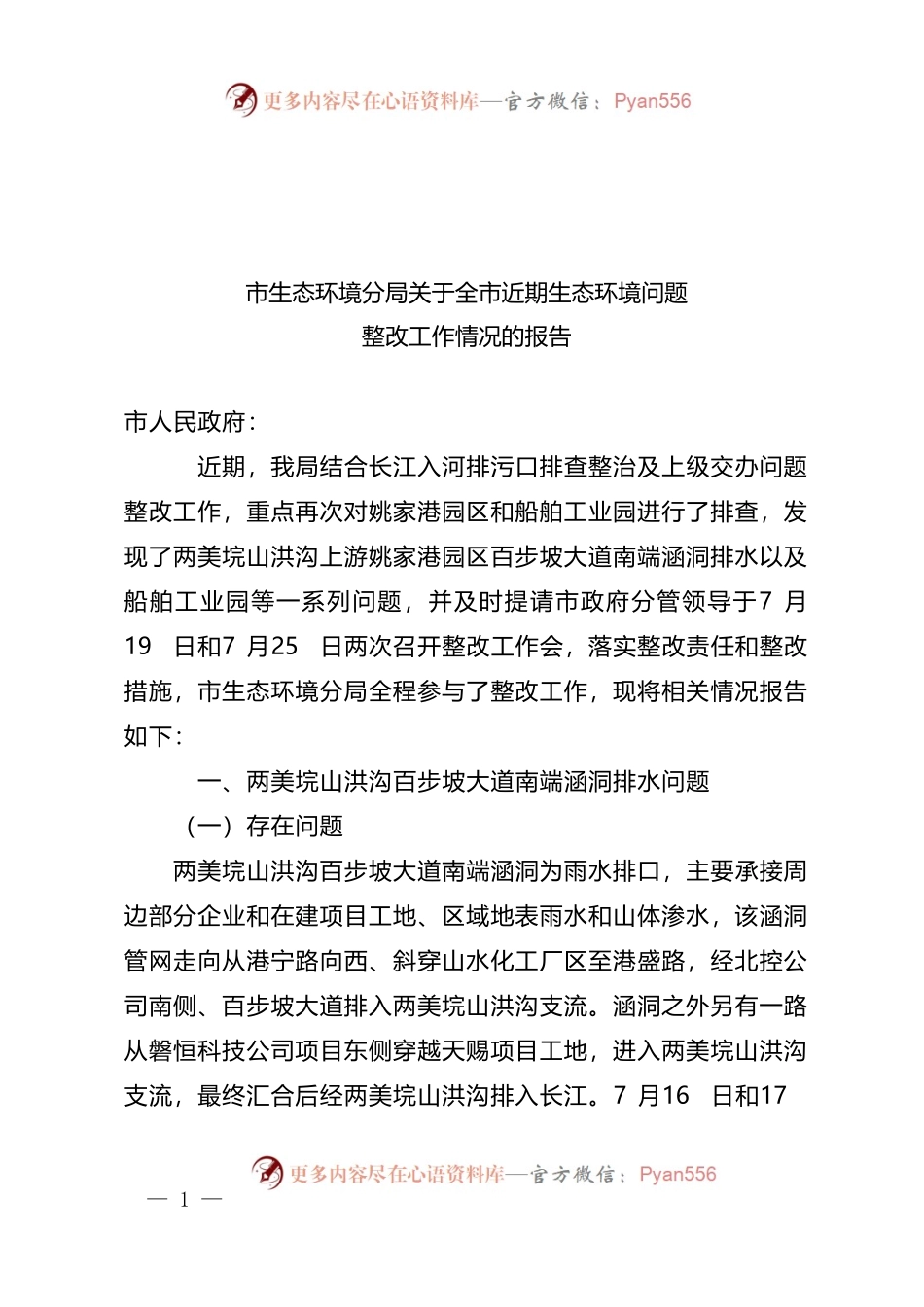 市生态环境分局关于全市近期生态环境问题整改工作情况的报告.docx_第1页