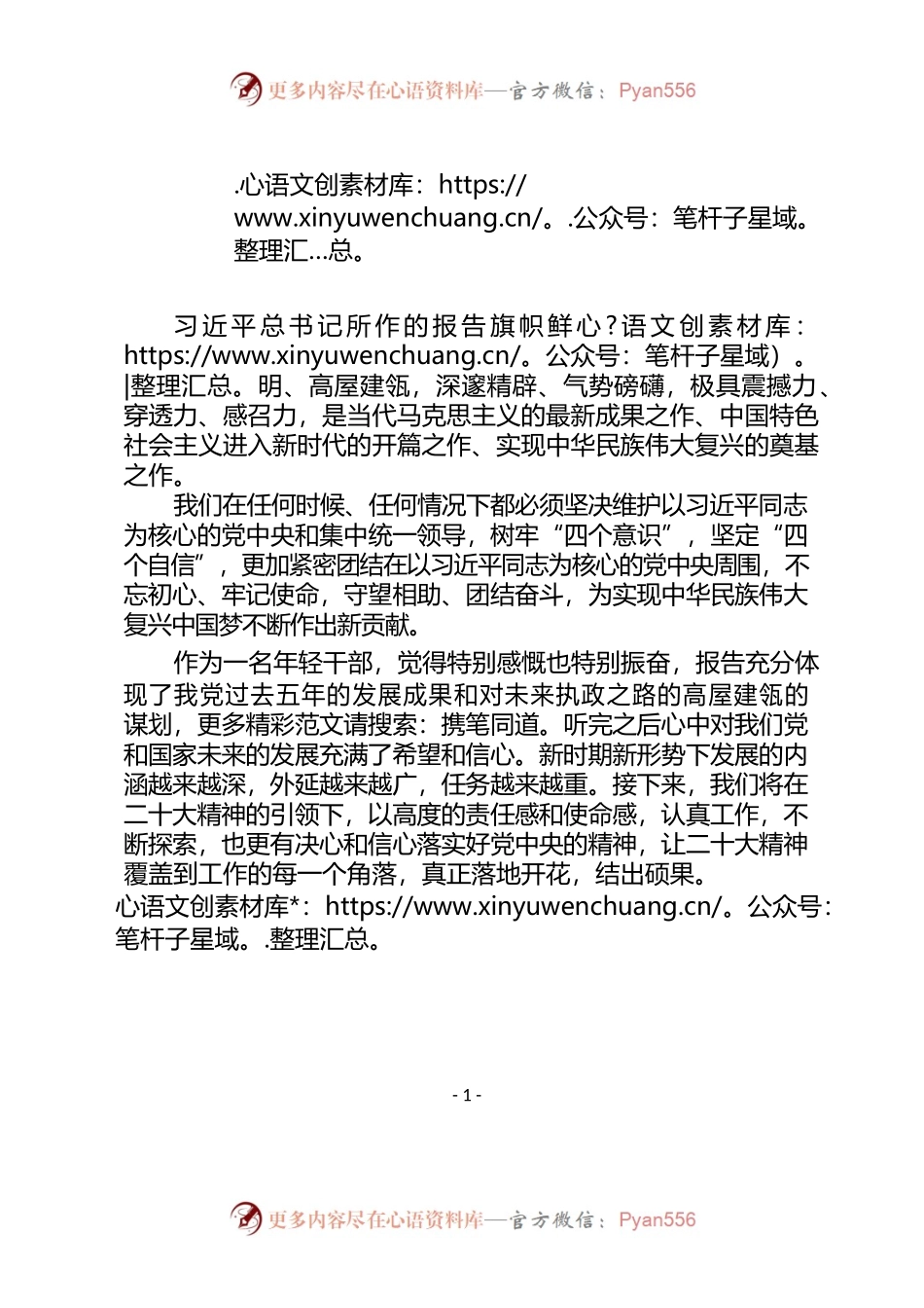 年轻干部学习党的二十大交流发言.docx_第1页
