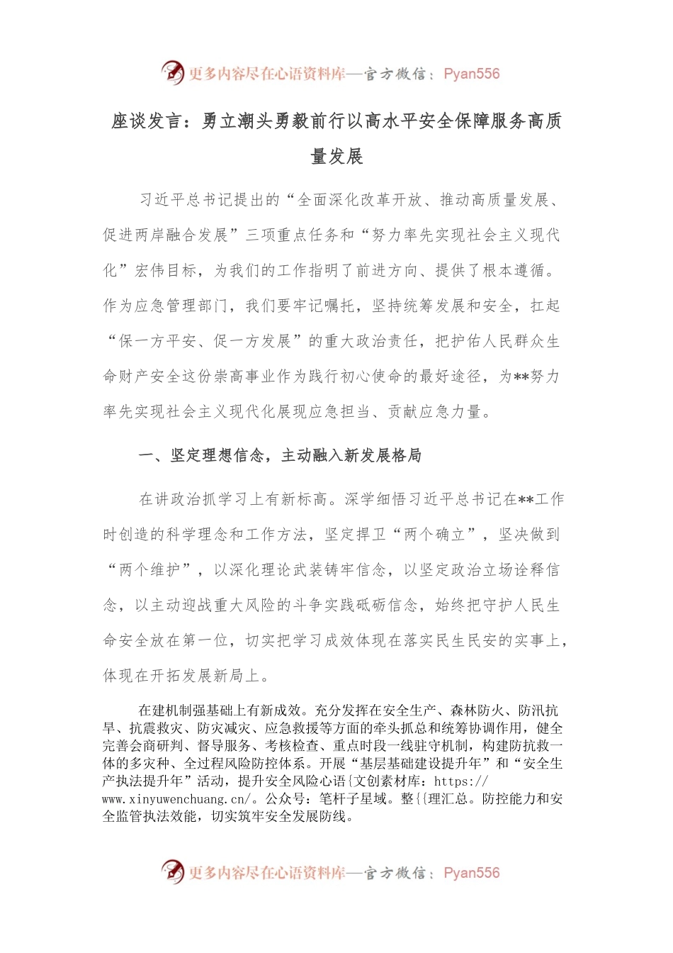 座谈发言：勇立潮头勇毅前行以高水平安全保障服务高质量发展.docx_第1页