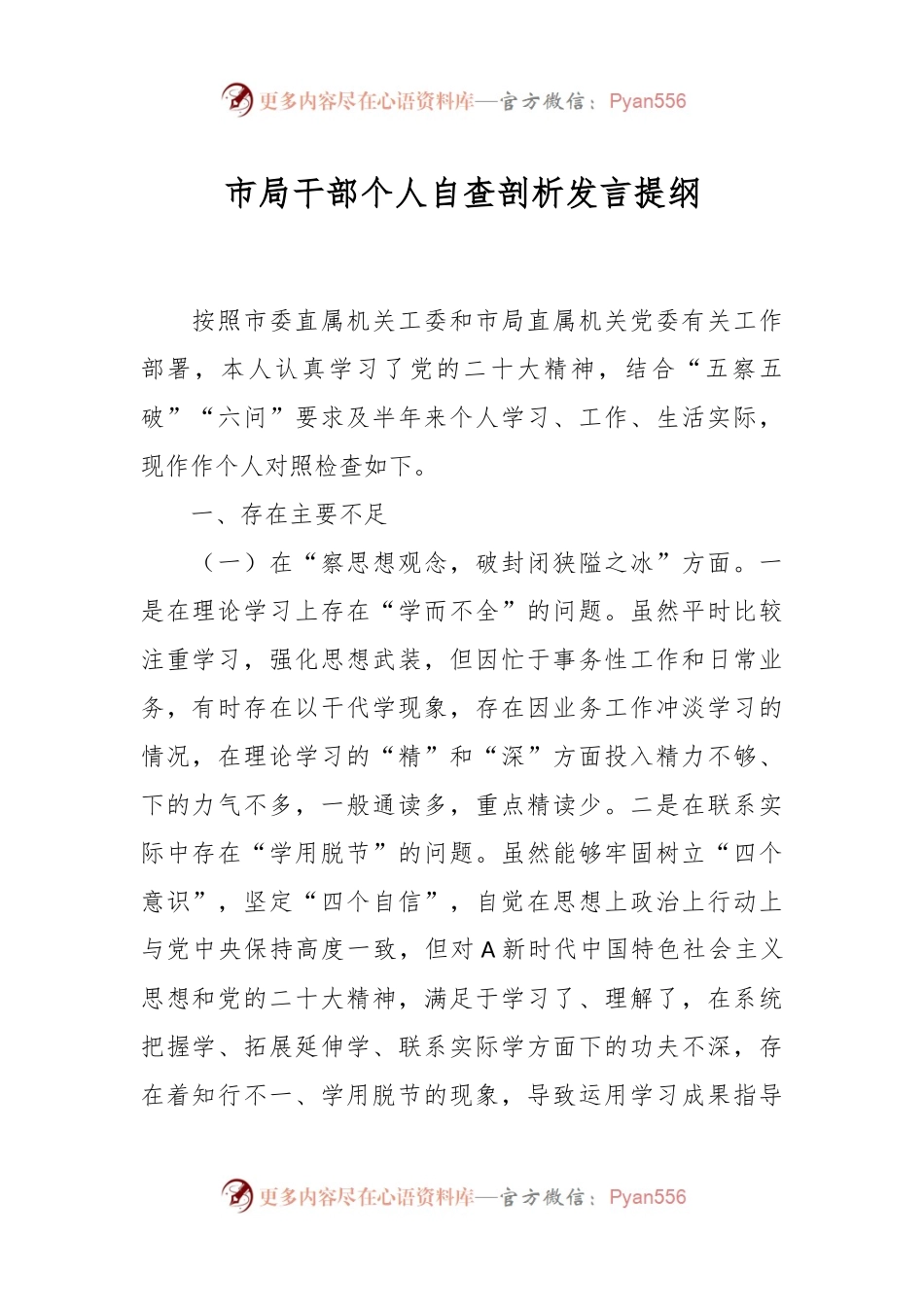 市局干部个人自查剖析发言提纲.docx_第1页