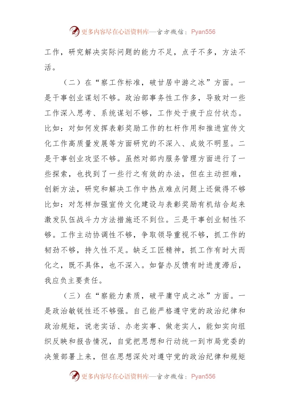 市局干部个人自查剖析发言提纲.docx_第2页