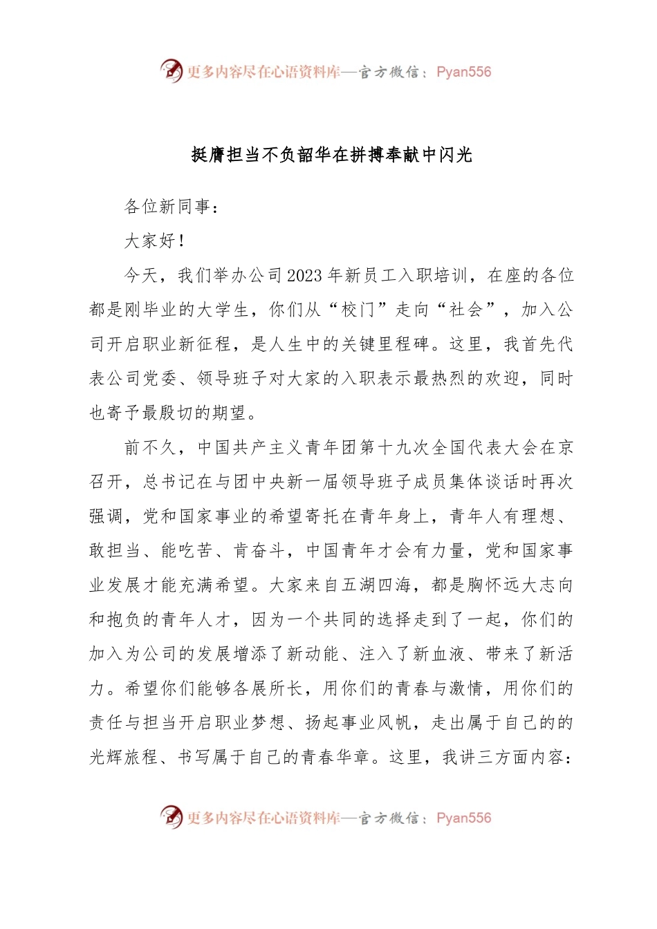 挺膺担当不负韶华在拼搏奉献中闪光.docx_第1页