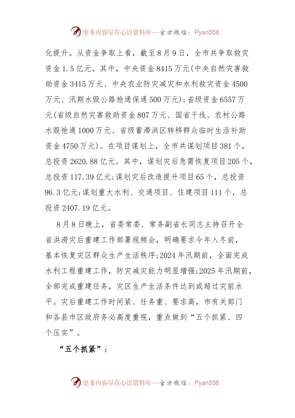 市发改局在全市洪涝灾后重建工作部署视频会上的发言.docx_第2页