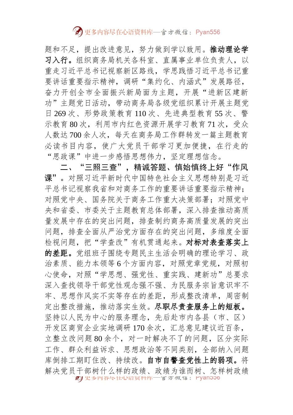 市商务局关于主题教育总结报告.docx_第2页