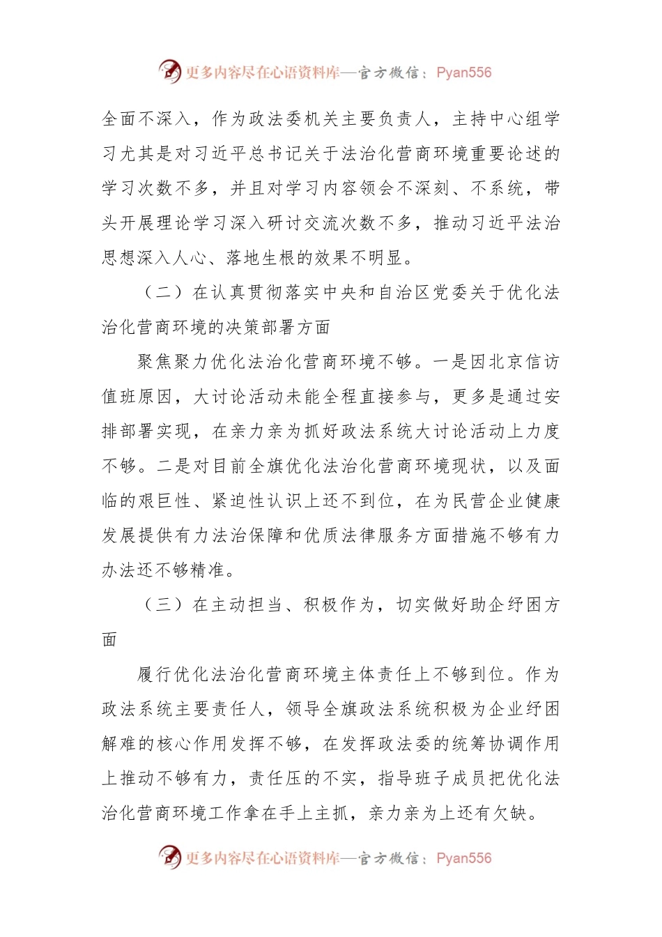 政法机关“优化法治化营商环境、服务保障高质量发展”大讨论活动对照检视材料发言.docx_第2页