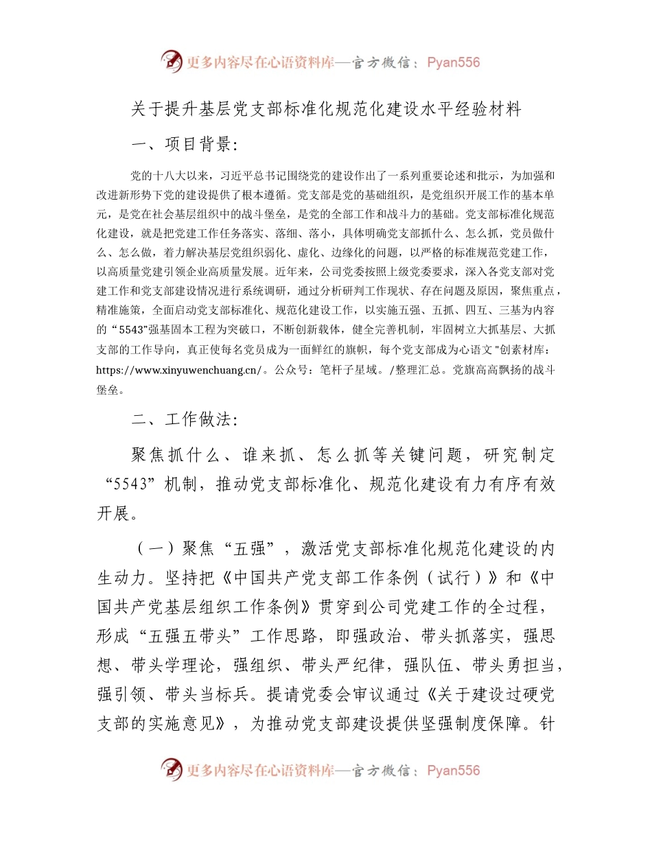 提升基层党支部标准化规范化建设水平经验总结.docx_第1页