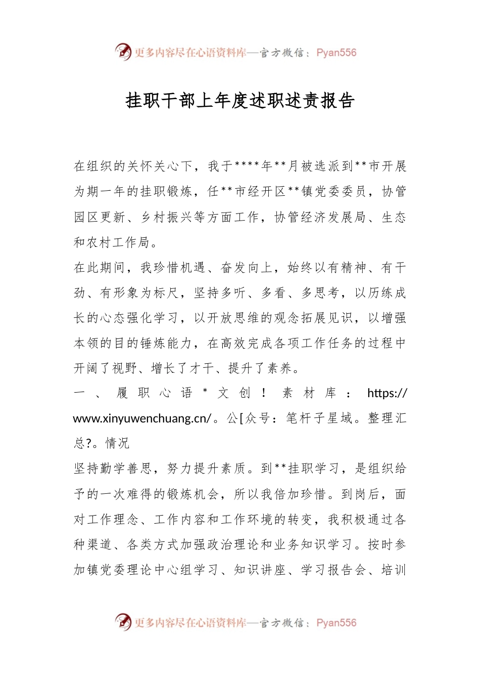 挂职干部上年度述职述责报告.docx_第1页