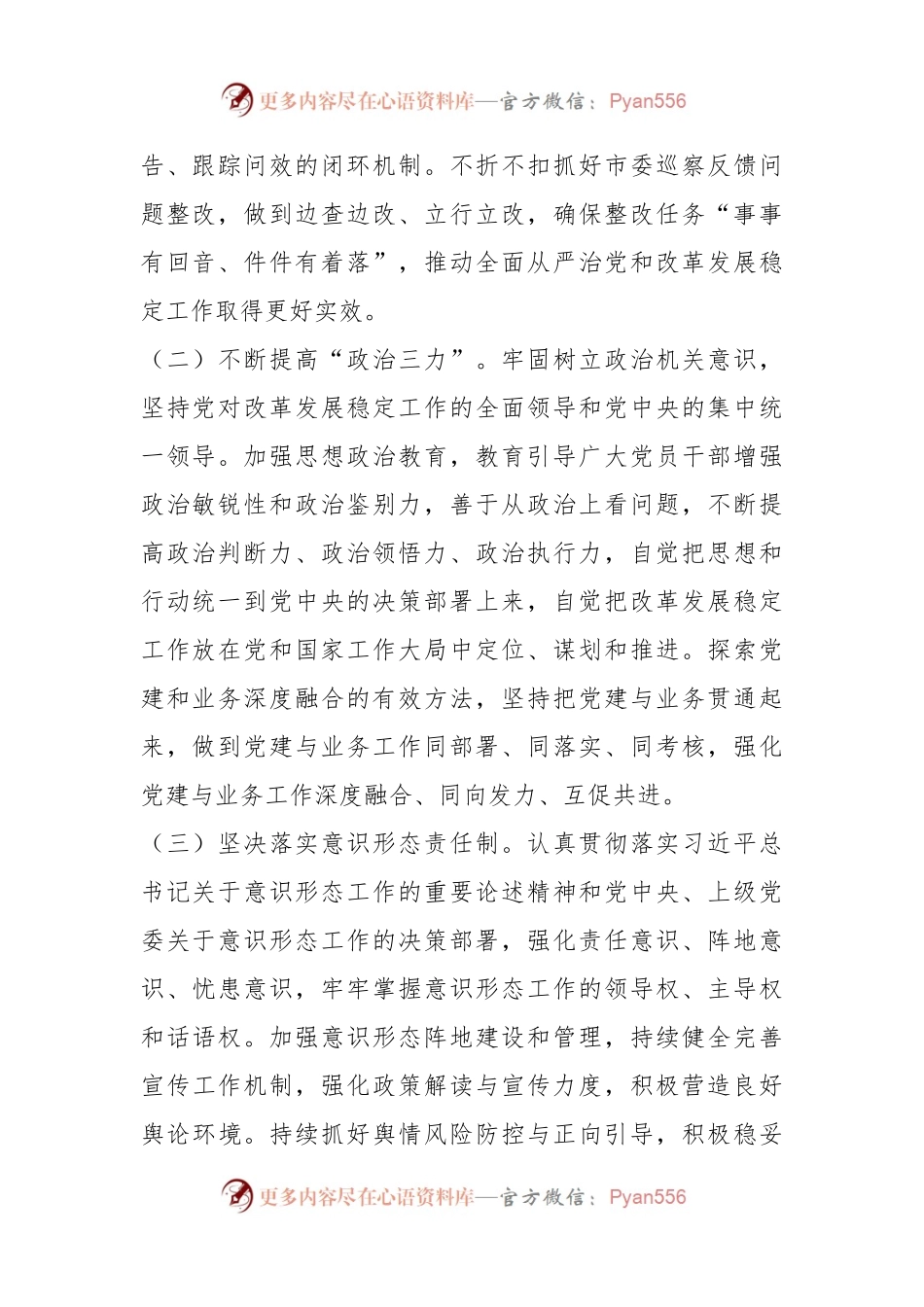 市局党组2024年度落实全面从严治党主体责任清单.docx_第2页