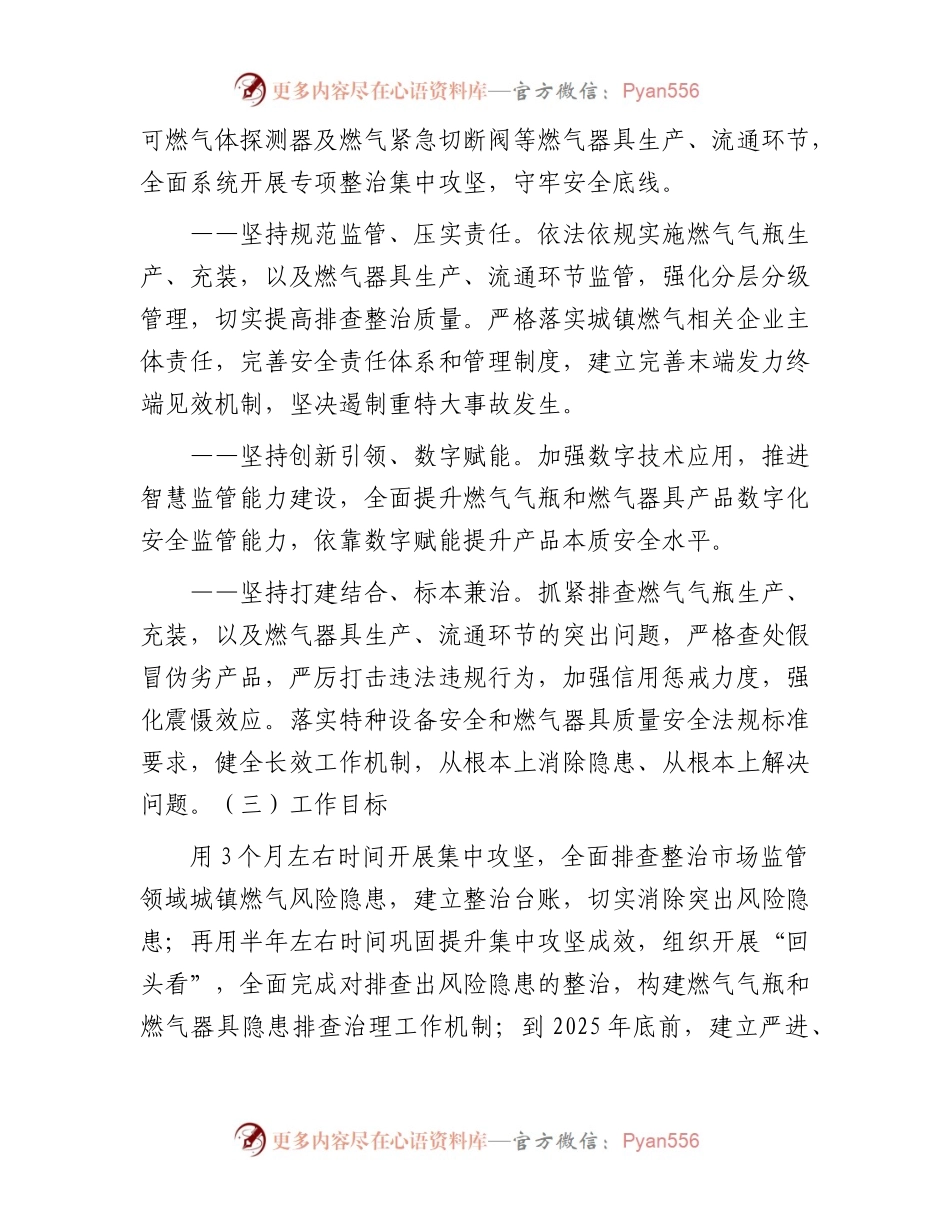 市市场监管系统城镇燃气安全专项整治行动实施方案.docx_第2页
