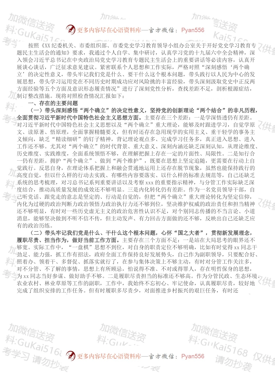 市政府党组成员党史学习教育专题民主生活会对照检查材料.docx_第1页