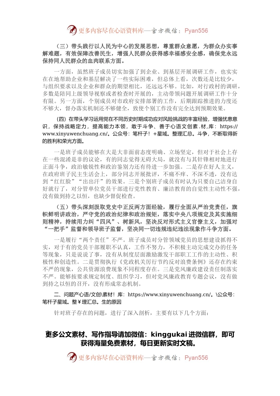 政府党组班子党史学习教育专题民主生活会“五个带头”对照检查材料.docx_第2页
