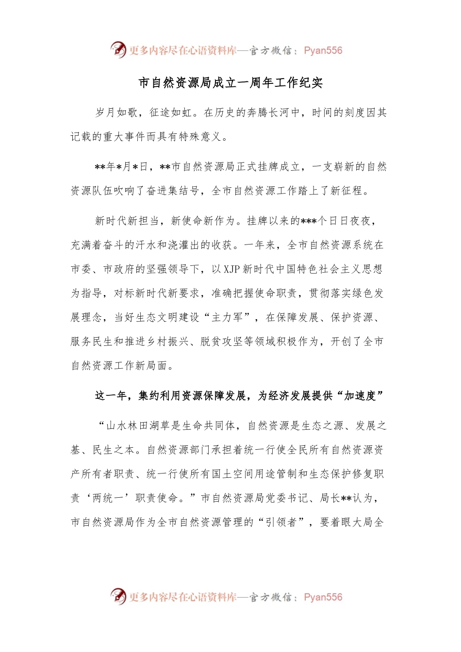 市自然资源局成立一周年工作纪实.docx_第1页