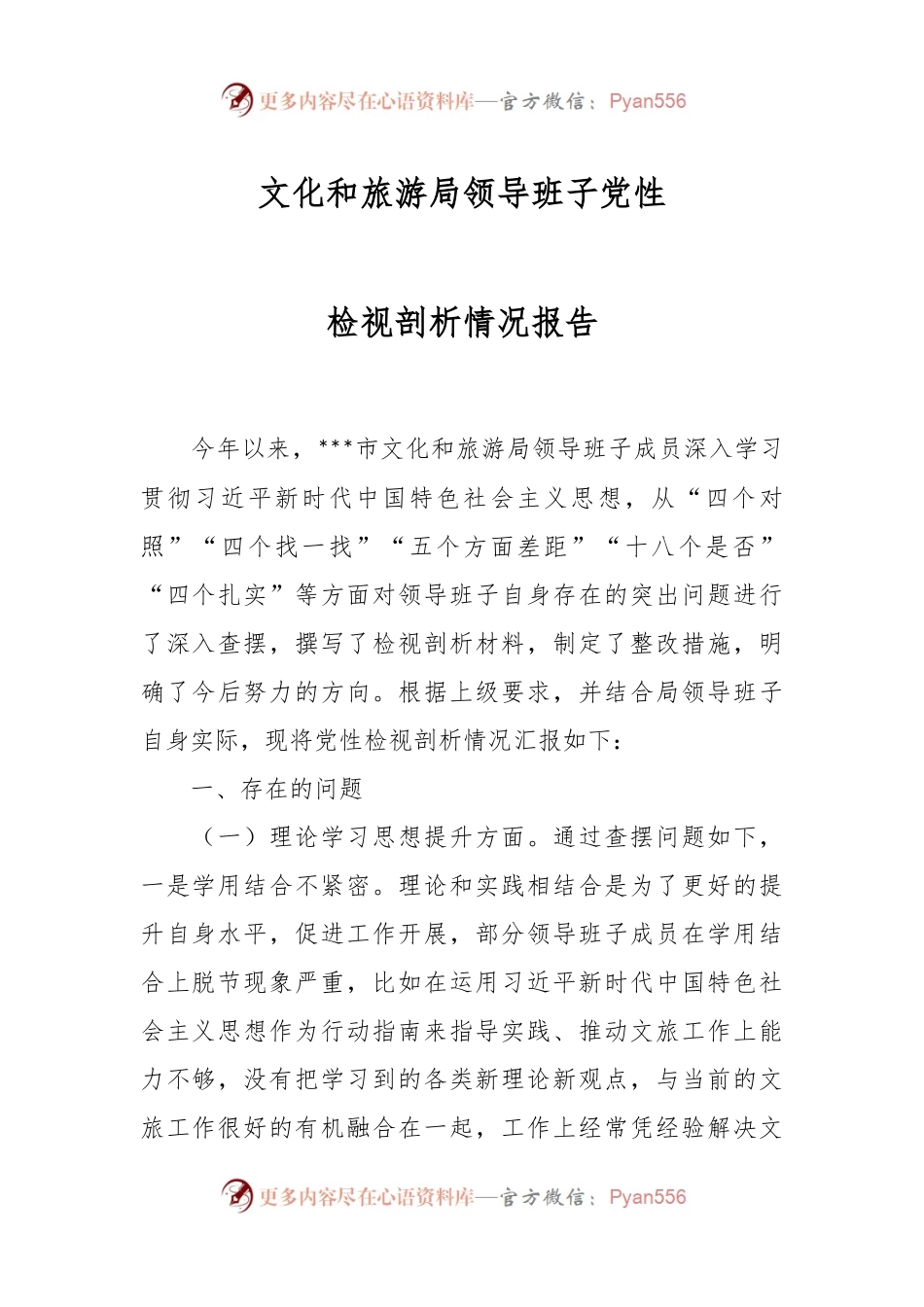 文化和旅游局领导班子党性检视剖析情况报告.docx_第1页