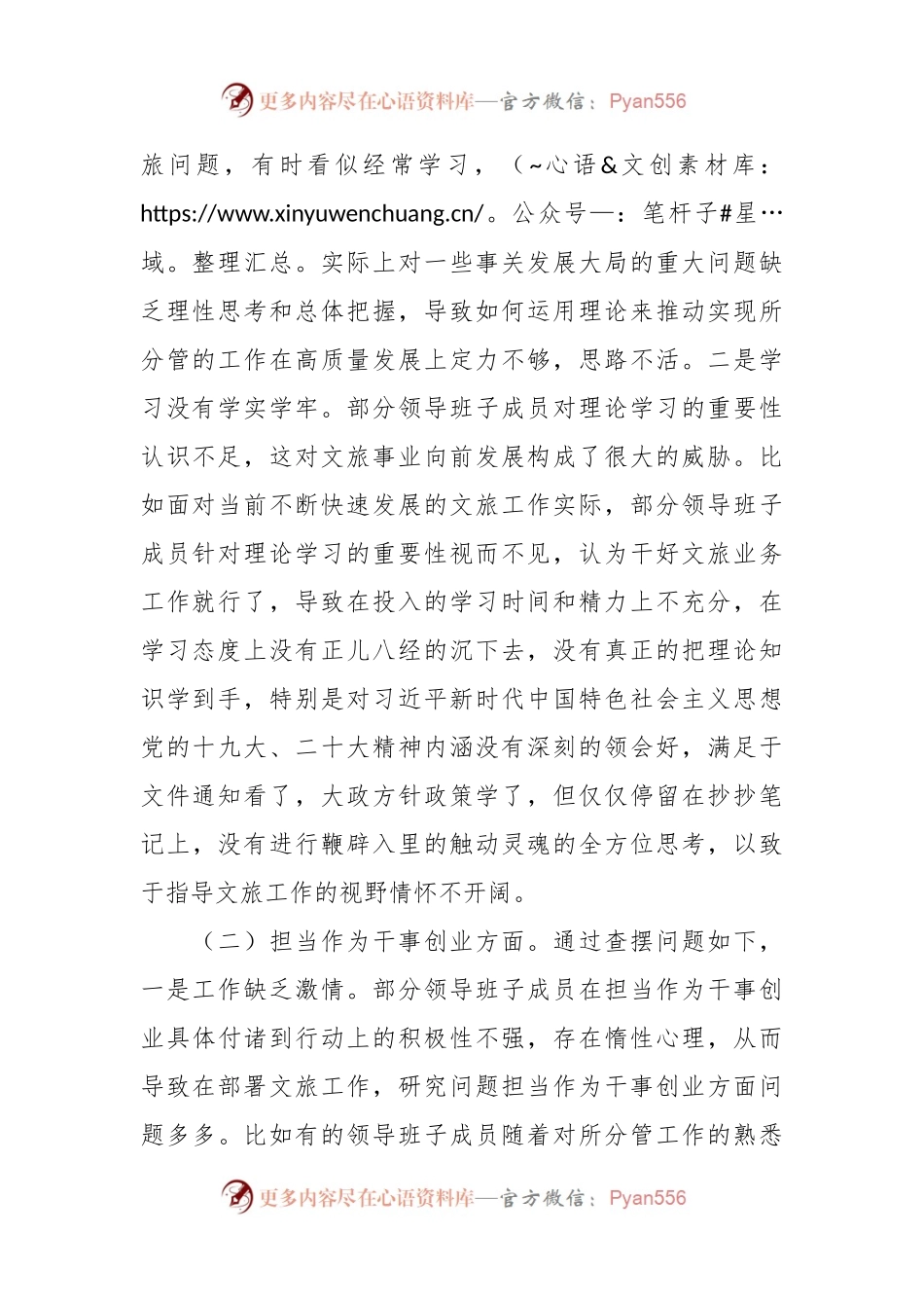 文化和旅游局领导班子党性检视剖析情况报告.docx_第2页