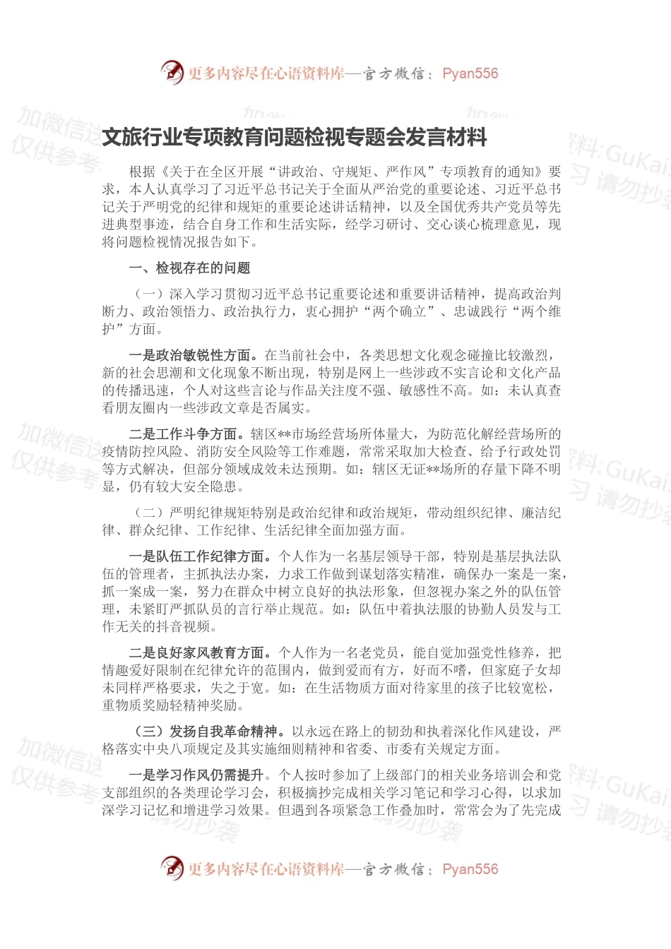 文旅行业专项教育问题检视专题会发言材料.docx_第1页