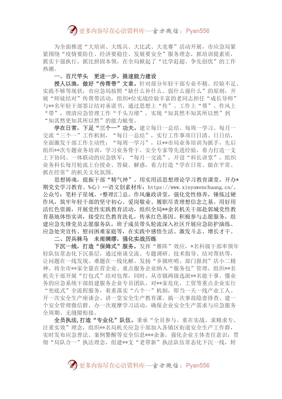 市应急管理局经验做法：树牢服务理念 争做应急先锋.docx_第1页